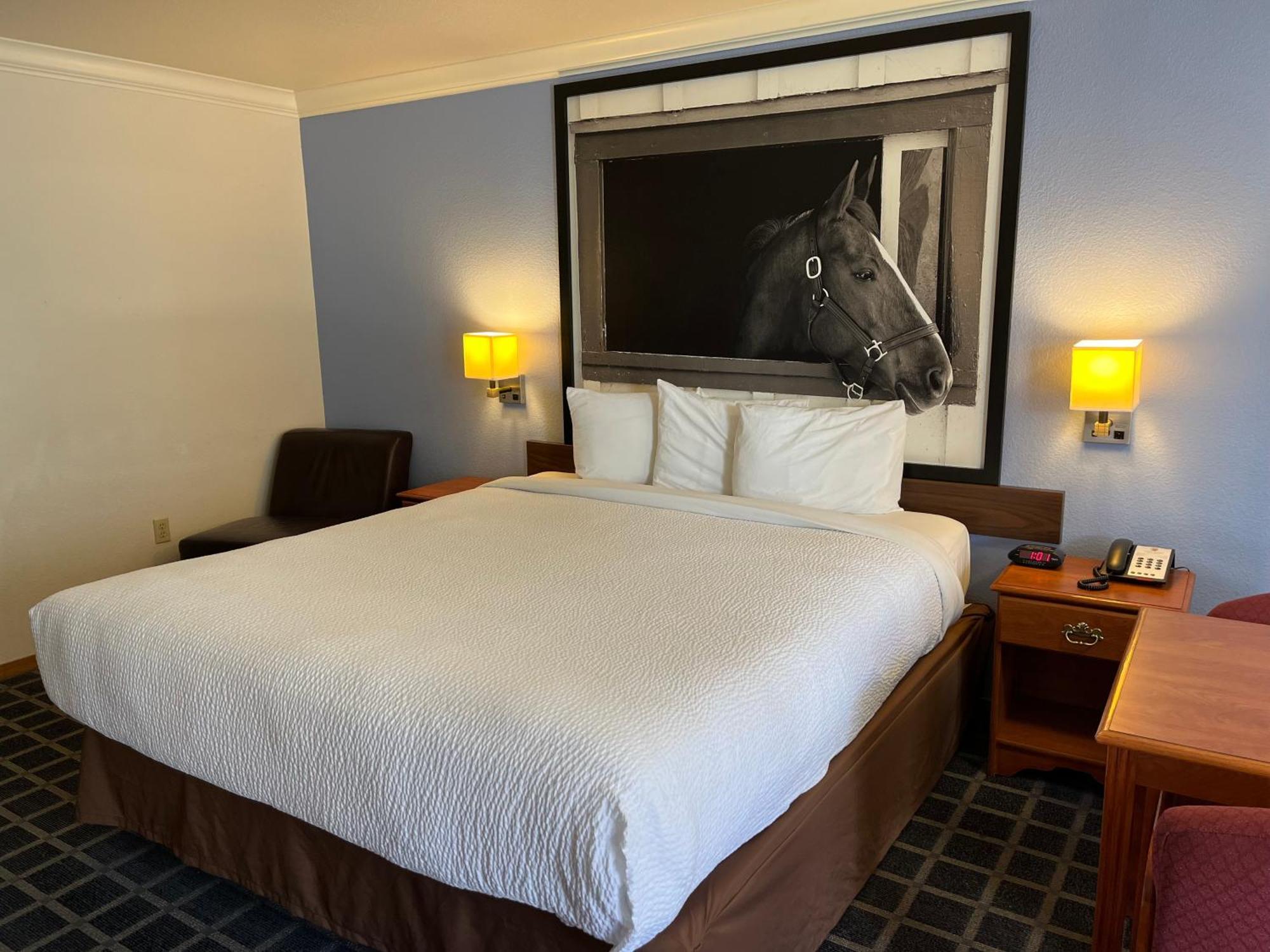 Creekside Inn & Suites Willits Eksteriør billede