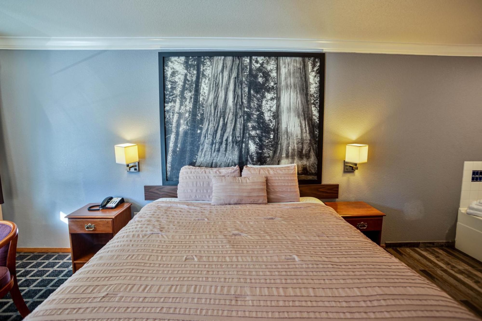 Creekside Inn & Suites Willits Eksteriør billede